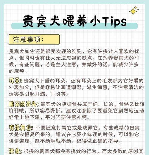 贵宾犬幼犬洗澡的时间和注意事项（贵宾犬幼犬洗澡的最佳时机和正确方式）