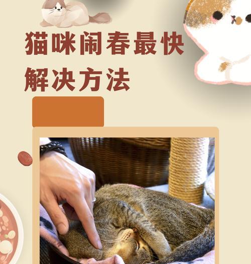 猫咪口腔健康之治疗炎舌头方法探究（三种方法助猫咪恢复口腔健康，告别炎舌头）