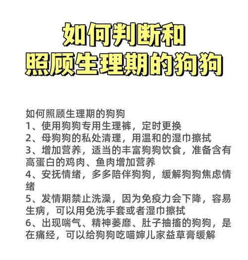 狗狗不来月经的原因及恢复方法（探究狗狗长时间不来月经可能的原因以及帮助狗狗恢复健康的方法）