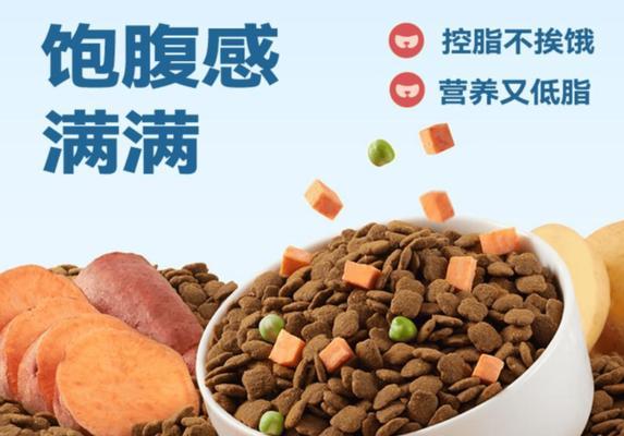 柴犬的饮食需求——了解柴犬每天需要吃多少狗粮（探索柴犬的饭量及合理喂养）