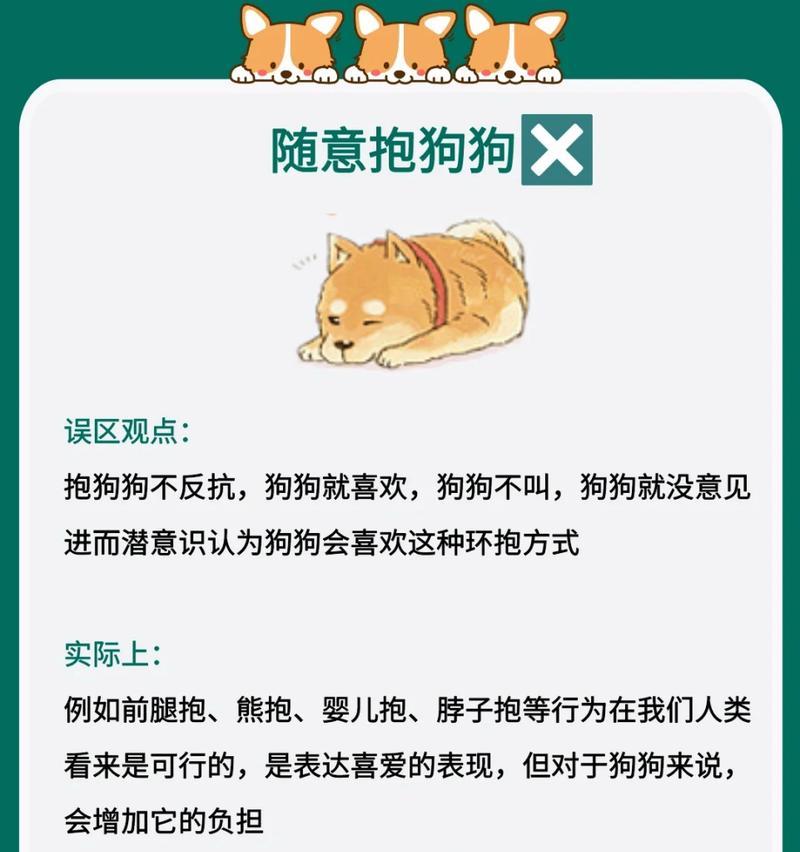 喂养狗狗的6大误区，不可忽视的害狗行为（避免这些错误，给狗狗健康的饮食环境）