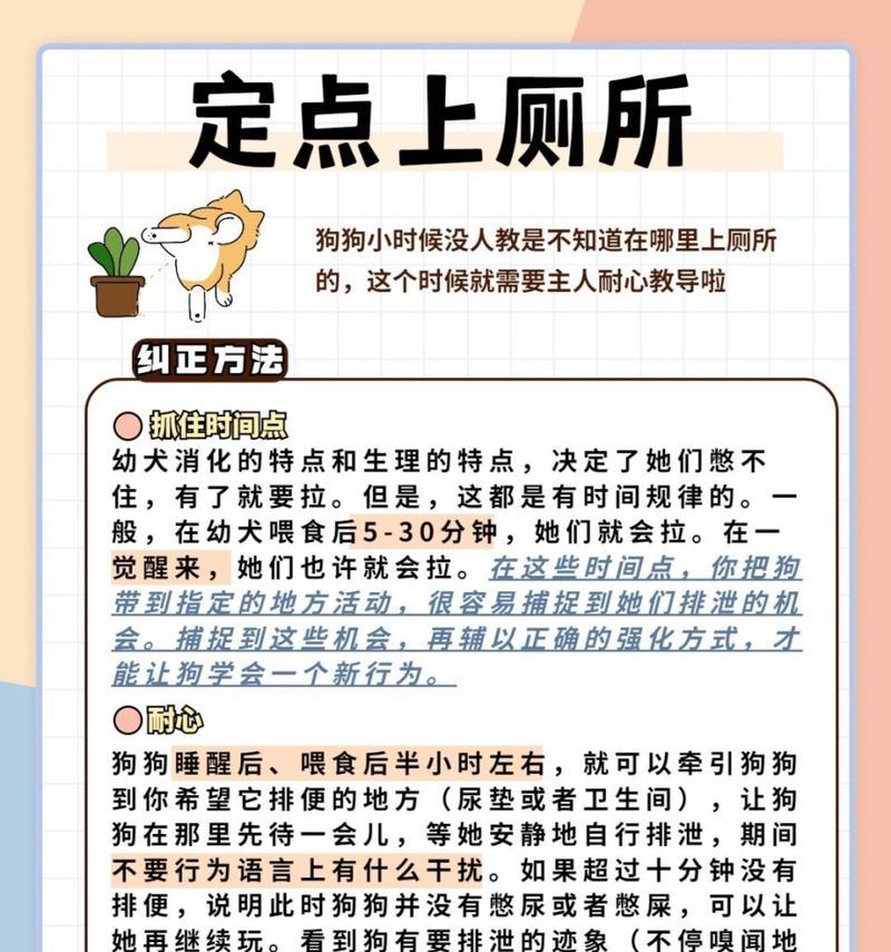 2个月大狗狗的喂养指南（全面了解2个月大狗狗的喂养要点，为它们提供健康成长的支持）