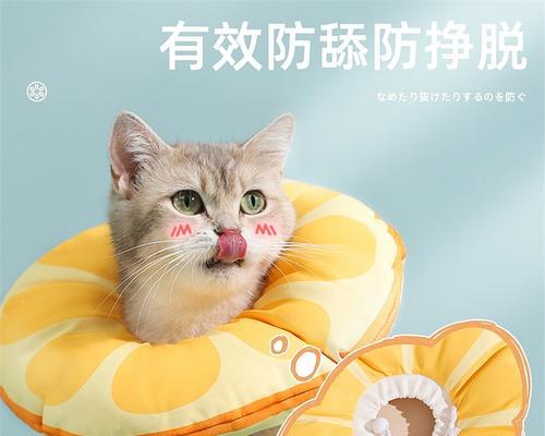 绝育后多久不戴项圈？（关于宠物绝育术后戴项圈的时间安排）