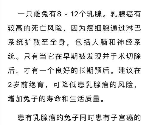 兔子绝育的好处——保障宠物兔子健康快乐