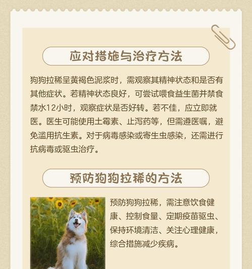 狗狗吃了驱虫药拉稀需要多久恢复？（探索狗狗吃驱虫药后拉稀的持续时间和恢复方法）
