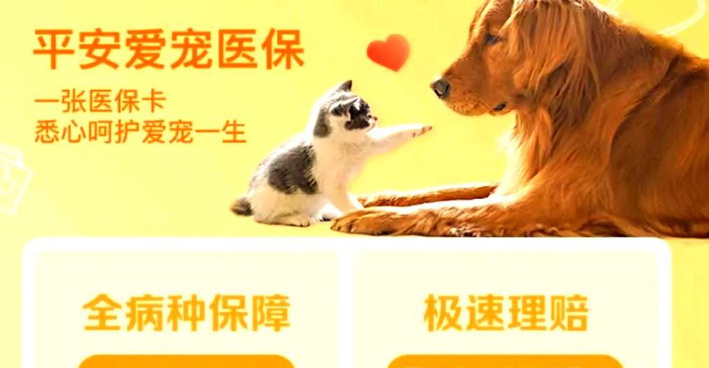宠物吞食异物急救指南（了解宠物吞食异物的危险性及应急处理方法）