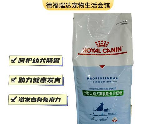 泰迪的怀孕周期及相关知识（了解泰迪犬的怀孕周期和繁殖知识）