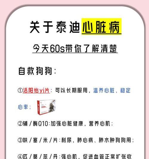 泰迪幼犬咳嗽的治愈时间与方法（探究泰迪幼犬咳嗽的持续时间、症状及治疗方法）