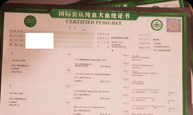 办理cku证书的流程和时间要求（了解cku证书申请流程及处理时间，助您高效办理）