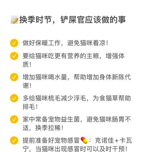 如何帮助猫咪恢复食欲？（解决猫咪食欲不振的有效方法）
