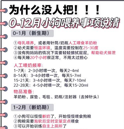 狗狗的生育周期及每月产仔数量（揭秘狗狗生育周期的奥秘与规律）