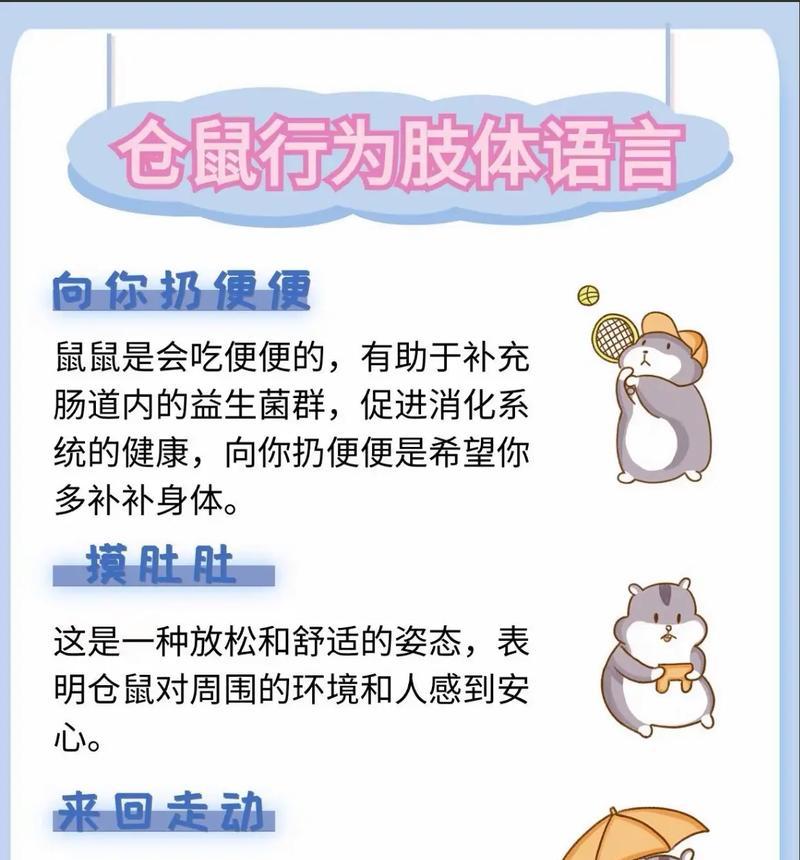 科学饲养小仓鼠的指南（了解、照顾、与培养小仓鼠的关键）