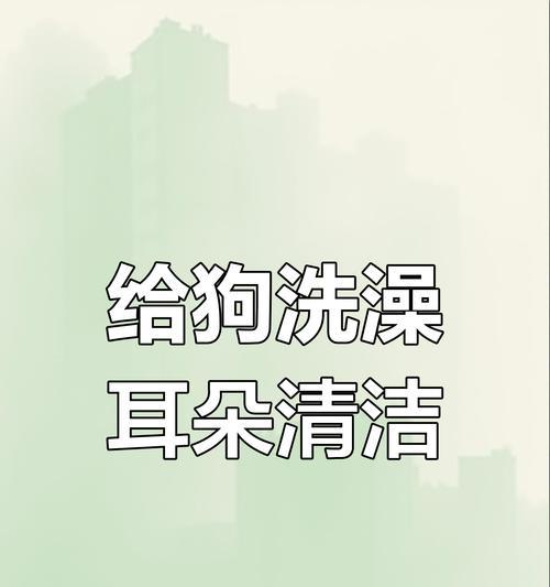 狗耳朵清洁的重要性及适当的洗耳频率（保持宠物狗耳朵清洁的有效方法和注意事项）
