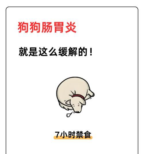 狗狗食用鸭肉导致夜间呕吐便血的应急措施（狗狗饮食注意事项及应对方法）