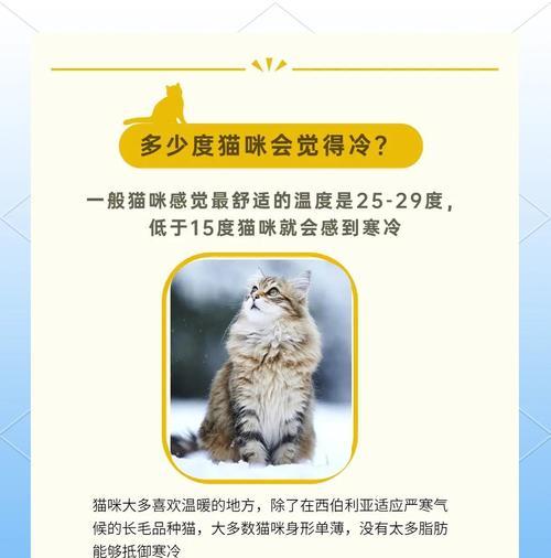 猫咪伤口洗澡时间要注意（洗澡前后的关键时刻和注意事项）