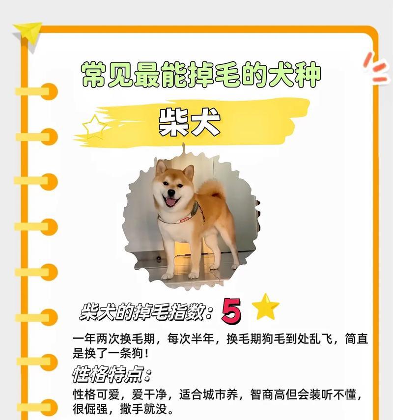 狗狗的七个动作与其含义解读（了解狗狗的行为语言，让你成为专业的养狗人）