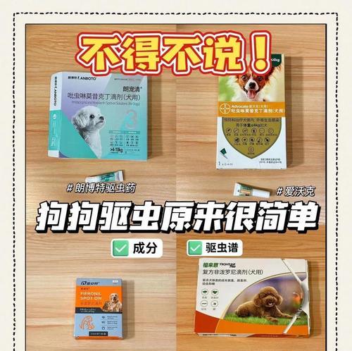 狗狗内驱虫的频率及注意事项（科学驱虫保护宠物狗健康）