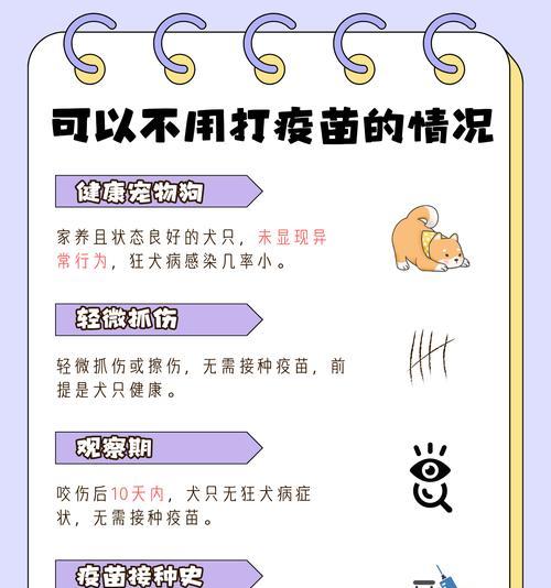 如何辨别狗狗是否有狂犬病毒（这6点你需要仔细观察）