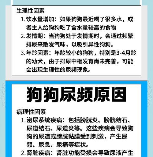 猫狗尿液中常见疾病解析（了解猫狗尿液中的健康问题，预防疾病）