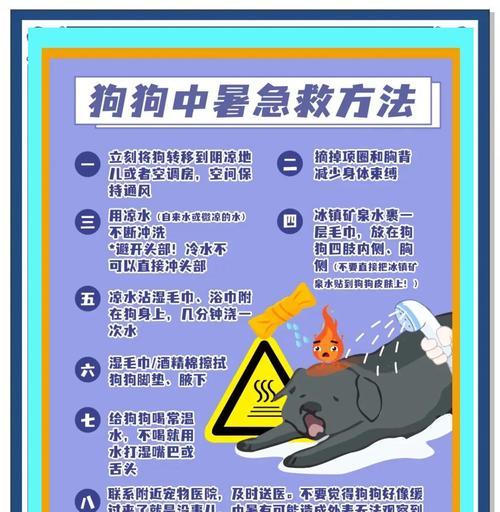 狗狗中暑后的生命倒计时（揭开狗狗中暑时间与生死之间的秘密，宠物主人必看！）