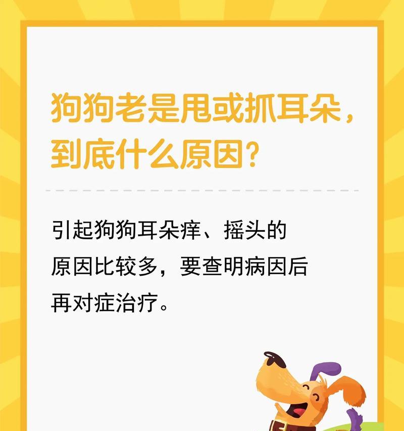 探究狗狗耳朵变黄的原因（揭秘狗狗耳朵变黄的主要因素及解决方法）