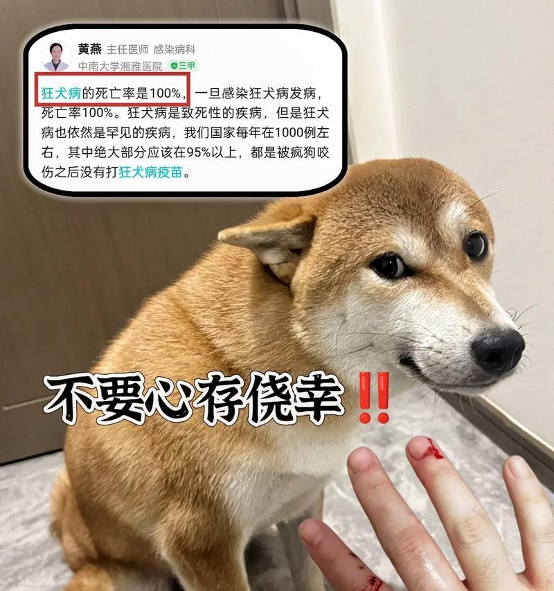 不打疫苗的狗狗寿命有限？（探索狗狗不打疫苗对寿命的影响及预防措施）