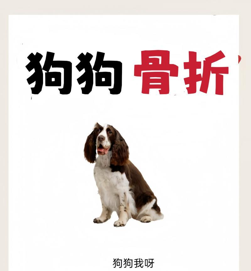 狗的大腿骨折康复期有多长？（了解狗骨折康复时间，宠物健康无忧）