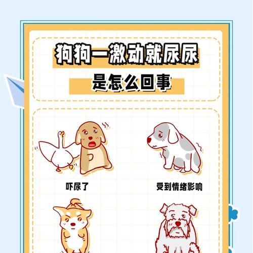 如何让狗狗远离地毯尿尿？（教导狗狗正确的尿尿地点，让家里的地毯保持干净整洁）