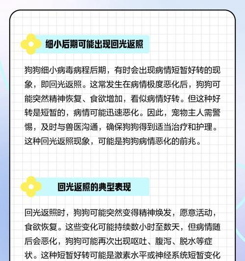 细小狗狗的生命期限（探究细小病毒对犬只寿命的影响，以及延长其生命的方法）