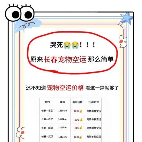 空运宠物需要注意的饮食问题（宠物在空运过程中的进食限制与注意事项）
