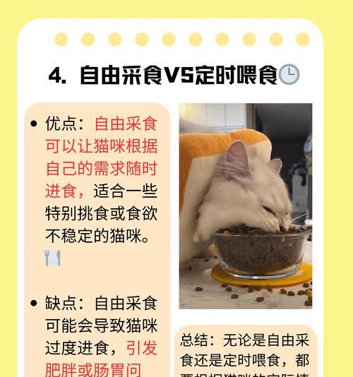 4步教你制作猫喜欢的牛肉鸡腿套餐（调整猫饮食从动手做猫饭开始）