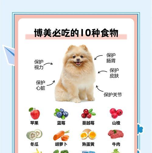 以美短的饮食指南（为你的美短提供健康和平衡的食物）
