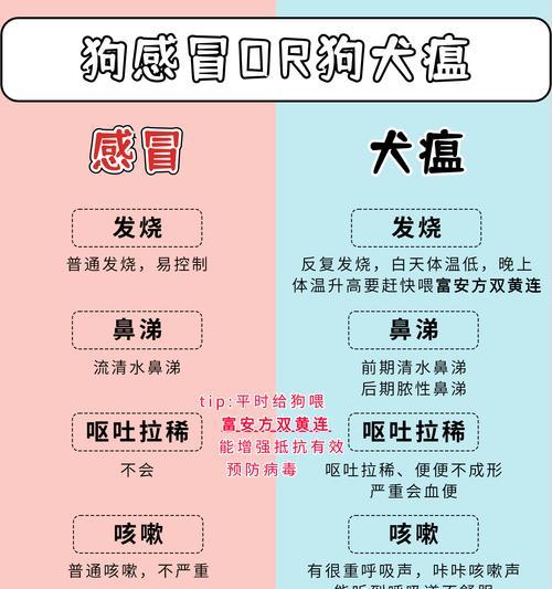 狗狗长期咳嗽的治疗方法与时间（以输液治疗狗狗长期咳嗽的效果及注意事项）