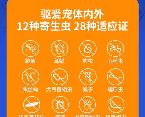 体外驱虫生效时间的探究（揭秘体外驱虫的作用时效及关键因素）