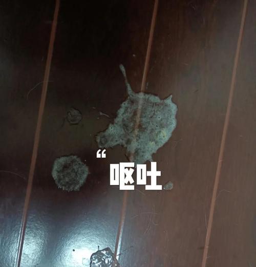 泰迪发烧，恢复需要多久？（探索泰迪发烧康复时间的关键因素与方法）