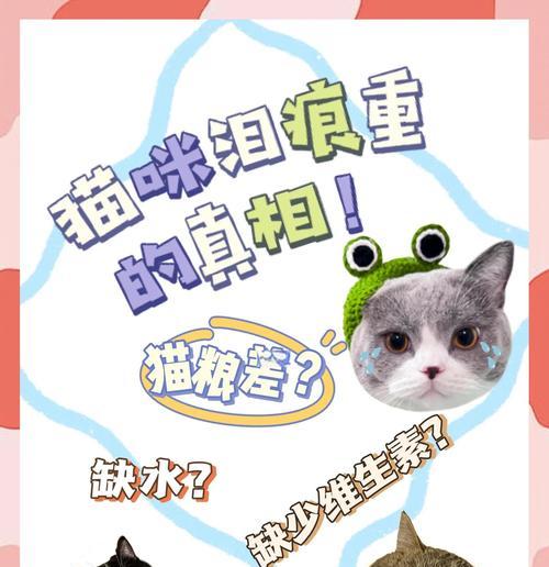 猫咪泪痕问题解决方法（有效去除猫咪泪痕的简单方法）