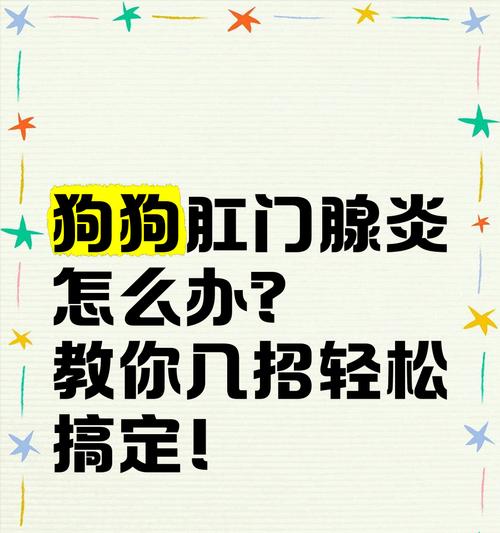 狗狗肛门腺挤压频率及注意事项（了解狗狗肛门腺挤压的时间间隔和常见问题）
