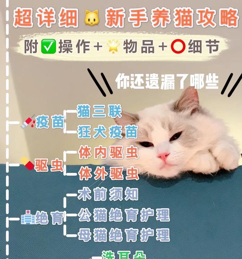 驱虫药与疫苗接种的时间安排（充分了解驱虫药与疫苗的最佳时间和注意事项，保障健康成长）