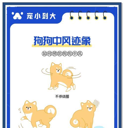 如何防止狗狗咀嚼东西？（6个技巧助你改变狗狗的咀嚼习惯）