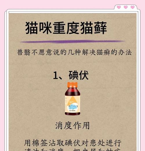 治愈全身严重猫癣的有效方法（成功铲屎官亲测分享，告别猫咪困扰）