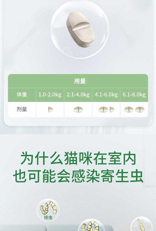 吃完拜耳体内驱虫后多久能喂食？（驱虫后饮食恢复时间及注意事项）
