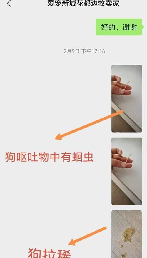 病毒寿命（揭秘病毒的生命力与存活周期）