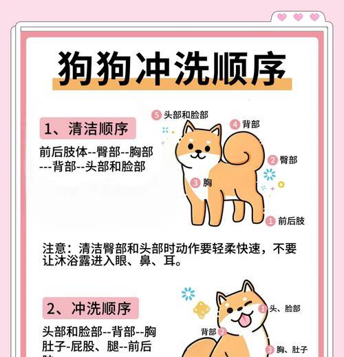 小狗出生后多久可以洗澡？（了解适宜的洗澡时间和注意事项）