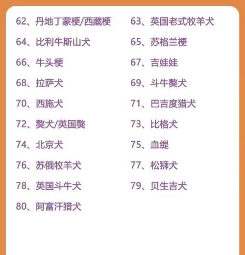 智商排名前8位的狗狗品种（揭秘智商超群的8个狗狗品种）