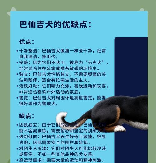 巴吉度犬的饲养指南（准备工作、基础训练、日常护理等一应俱全）
