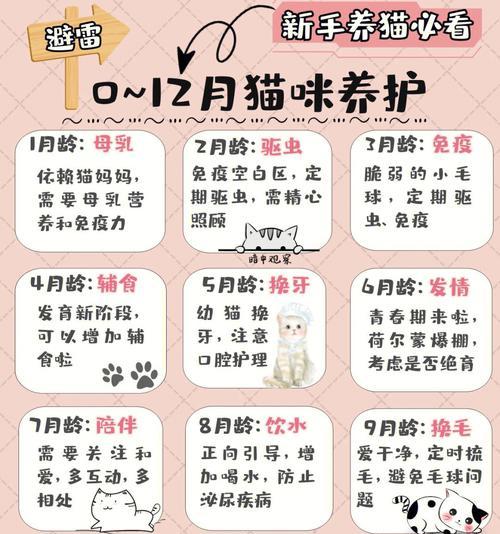 5个月大的猫一天睡多久？（揭秘年幼猫咪的睡眠习惯及相关影响）