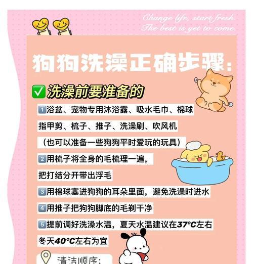 狗狗生宝宝后多久可以洗澡？（了解适时洗澡的重要性）