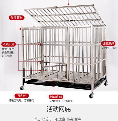 狗笼子消毒的正确方法（保护宠物健康的关键措施）