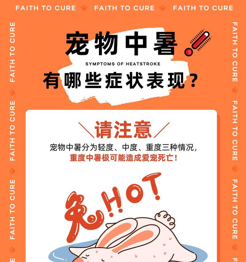 宠物常见疫病及预防措施（保护宠物健康，从了解疫病开始）