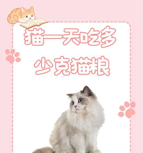 猫咪的日常饮食需求（了解每只猫咪每天所需猫粮量及喂食方法）